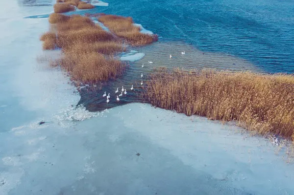 Aerial View Frozen Lake Winter Scenery Landscape Photo Captured Drone — Φωτογραφία Αρχείου