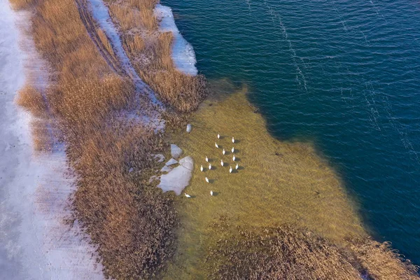 凍った湖の空撮 冬の風景です 冬のワンダーランドの上ドローンで撮影した風景写真 — ストック写真