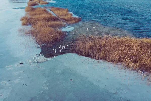 凍った湖の空撮 冬の風景です 冬のワンダーランドの上ドローンで撮影した風景写真 — ストック写真