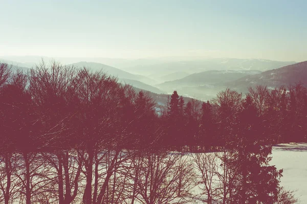 Vinter Landskap Schlesiens Beskids Bergen Utsikt Från Rownica Ustroń Visa — Stockfoto