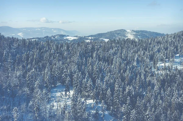 Zimní Krajina Horách Slezské Beskydy Pohled Shora Foto Krajina Zachycena — Stock fotografie