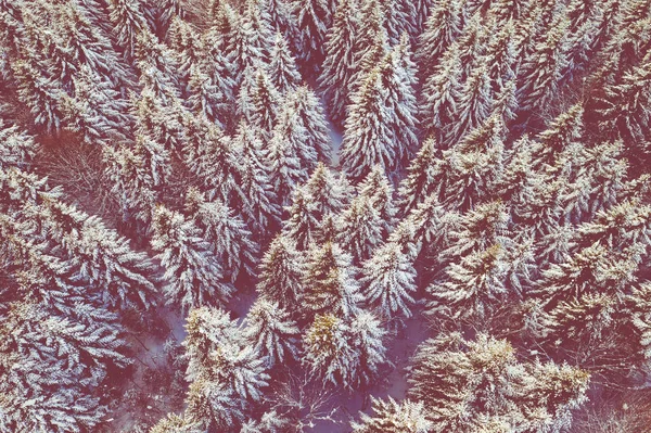 シレジア ベスキディ山脈山の冬景色 雪の山の風景木の空中平面図 — ストック写真