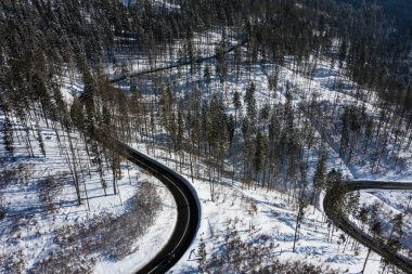 Karda Curvy rüzgarlı road orman, hava görünümünü en iyi kapalı. Kış manzarası. 
