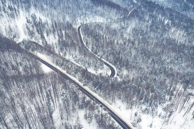 Karda Curvy rüzgarlı road orman, hava görünümünü en iyi kapalı. Kış manzarası. 