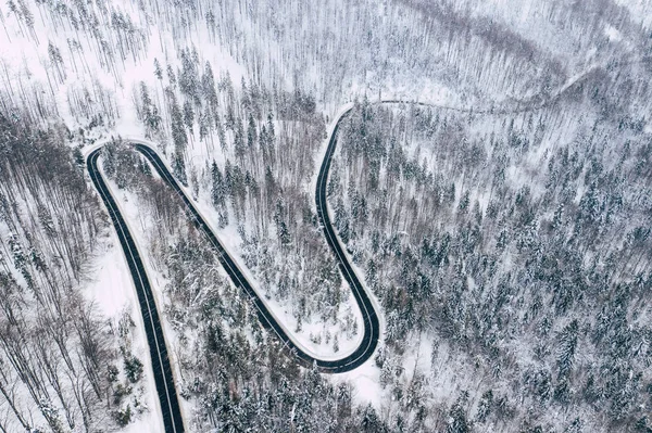 Curvy windy road in snow covered forest, top down aerial view. Winter landscape.