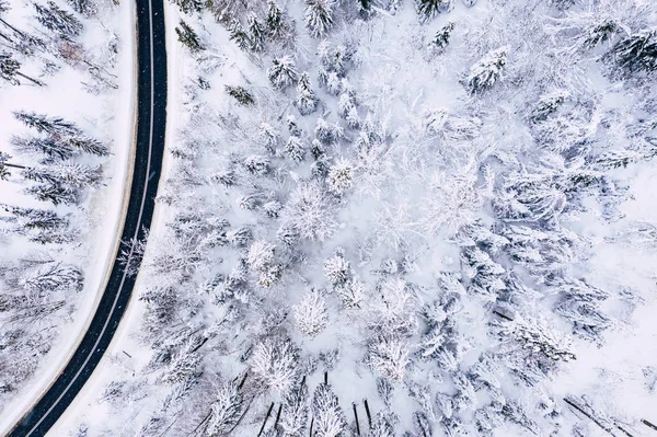 Curvy windy road in snow covered forest, top down aerial view. Winter landscape.