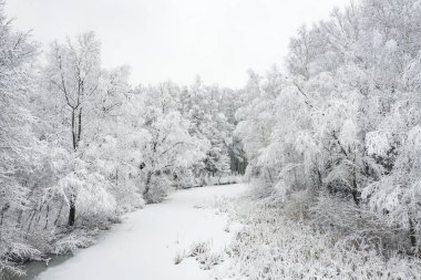 Hoarfrost ve kar güzel peyzaj ağaçları ile kaplı kış hava görünümünü. Kış manzarası yukarıdan. Drone ile yakalanan Peyzaj fotoğraf.