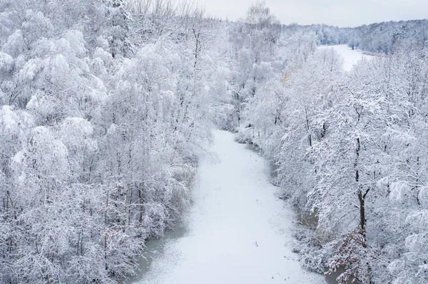 Hoarfrost Kar Güzel Peyzaj Ağaçları Ile Kaplı Kış Hava Görünümünü — Stok fotoğraf