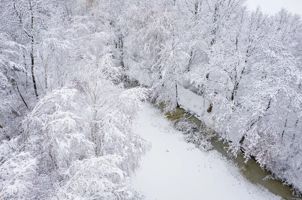 Vista Aerea Inverno Bellissimo Paesaggio Con Alberi Coperti Gelo Neve — Foto Stock