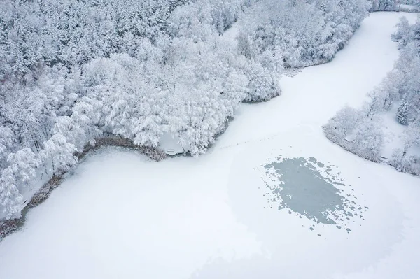 冬の霜や雪で覆われた木々 の美しい風景の空撮 上から冬景色 無人で撮影した風景写真 — ストック写真