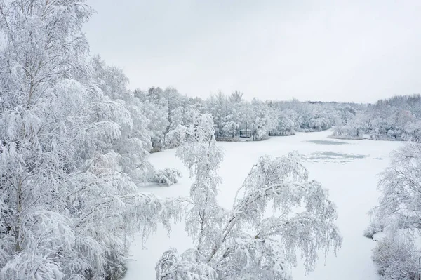 Вид Воздуха Прекрасный Зимний Пейзаж Деревьями Покрытыми Инеем Снегом Зимний — стоковое фото