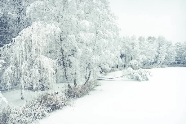 Hoarfrost Kar Güzel Peyzaj Ağaçları Ile Kaplı Kış Hava Görünümünü — Stok fotoğraf