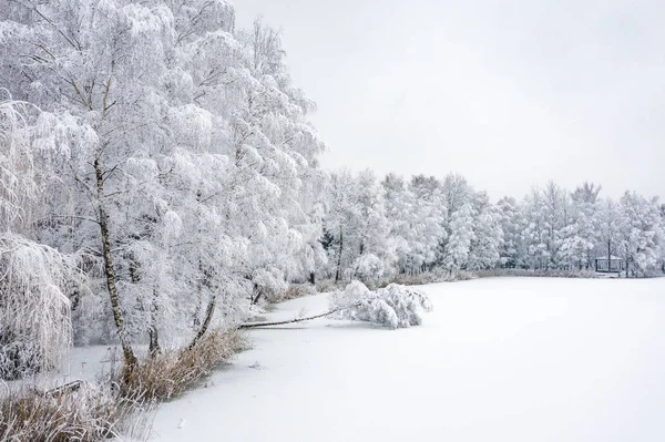 鸟的冬季美丽的风景与树木覆盖着白霜和雪 冬天的风景从上面 用无人机拍摄的风景照片 — 图库照片