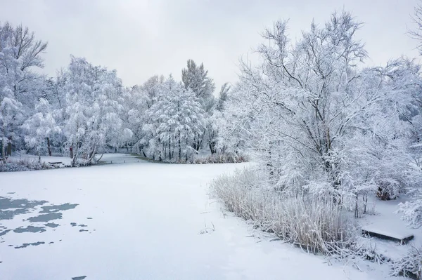 鸟的冬季美丽的风景与树木覆盖着白霜和雪 冬天的风景从上面 用无人机拍摄的风景照片 — 图库照片