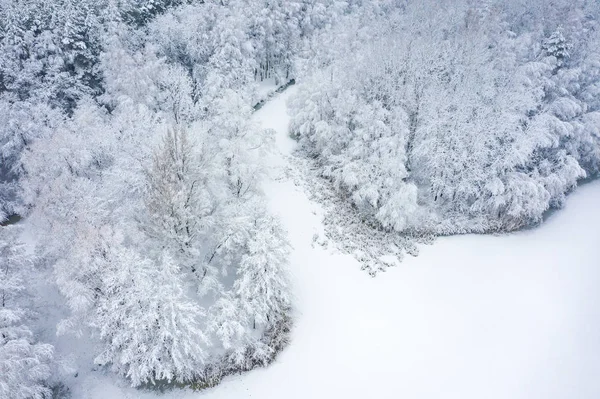 Vista Aerea Inverno Bellissimo Paesaggio Con Alberi Coperti Gelo Neve — Foto Stock