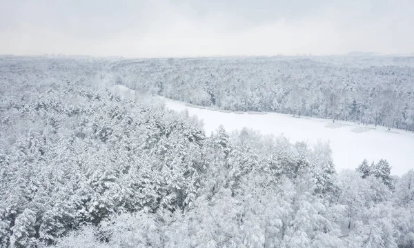 Вид Воздуха Прекрасный Зимний Пейзаж Деревьями Покрытыми Инеем Снегом Зимний — стоковое фото