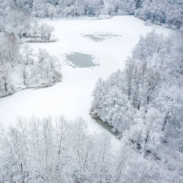 冬の霜や雪で覆われた木々 の美しい風景の空撮 上から冬景色 無人で撮影した風景写真 — ストック写真