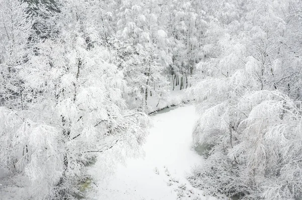 Hoarfrost Kar Güzel Peyzaj Ağaçları Ile Kaplı Kış Hava Görünümünü — Stok fotoğraf