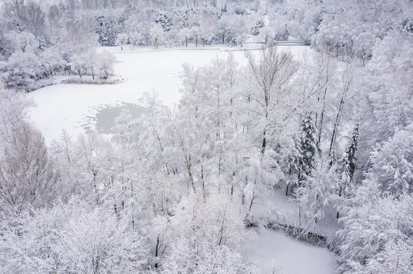 鸟的冬季美丽的风景与树木覆盖着白霜和雪 冬天的风景从上面 用无人机拍摄的风景照片 — 图库照片