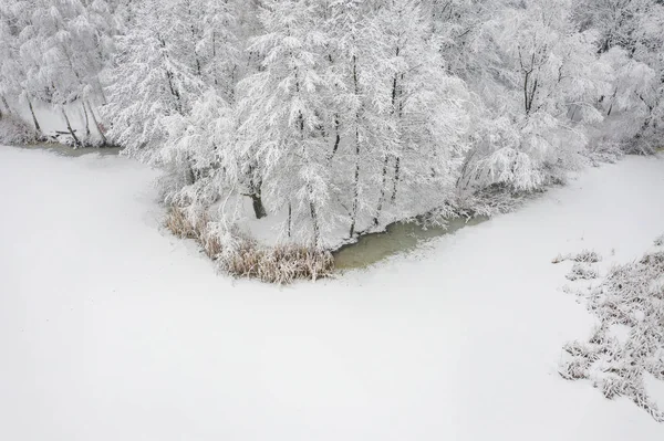Widok Lotu Ptaka Zimy Piękny Krajobraz Drzewa Pokryte Szronu Śniegu — Zdjęcie stockowe