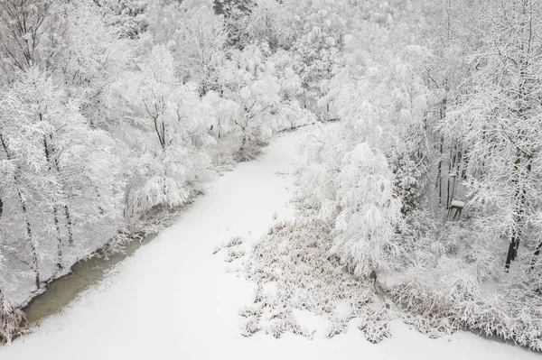 Vista Aerea Inverno Bellissimo Paesaggio Con Alberi Coperti Gelo Neve — Foto Stock