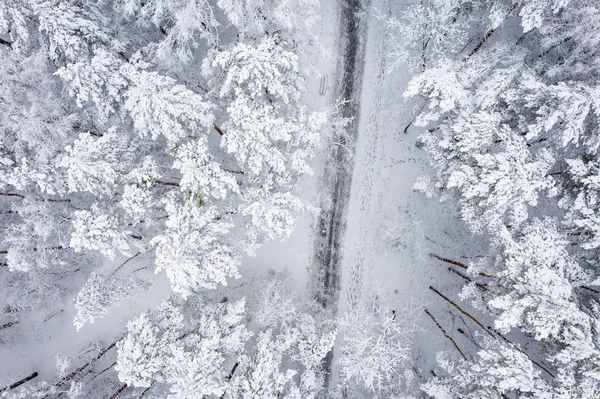 Hoarfrost ve kar güzel peyzaj ağaçları ile kaplı kış hava görünümünü. Kış manzarası yukarıdan. Drone ile yakalanan Peyzaj fotoğraf.