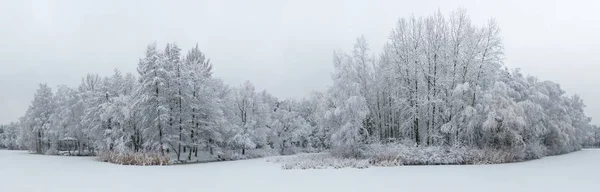 Hava Panoramik Kış Hoarfrost Kar Güzel Peyzaj Ağaçları Ile Kaplı — Stok fotoğraf