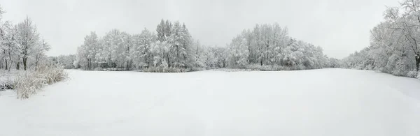 Panoramiczny Widok Antenowe Zima Piękny Krajobraz Drzewa Pokryte Szronu Śniegu — Zdjęcie stockowe