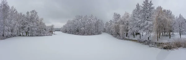 Hava Panoramik Kış Hoarfrost Kar Güzel Peyzaj Ağaçları Ile Kaplı — Stok fotoğraf