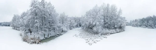 Hava Panoramik Kış Hoarfrost Kar Güzel Peyzaj Ağaçları Ile Kaplı — Stok fotoğraf