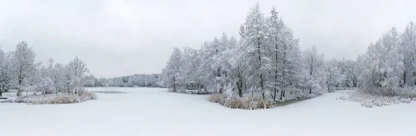 Hava Panoramik Kış Hoarfrost Kar Güzel Peyzaj Ağaçları Ile Kaplı — Stok fotoğraf