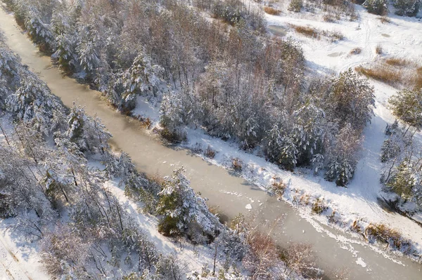 冬の雪に覆われた森とドローンで捉えられた上から凍る湖の空中写真 — ストック写真