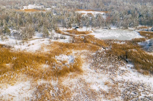 冬の雪に覆われた森とドローンで捉えられた上から凍る湖の空中写真 — ストック写真