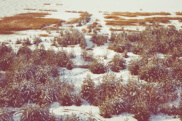 冬の雪に覆われた森とドローンで捉えられた上から凍る湖の空中写真 — ストック写真