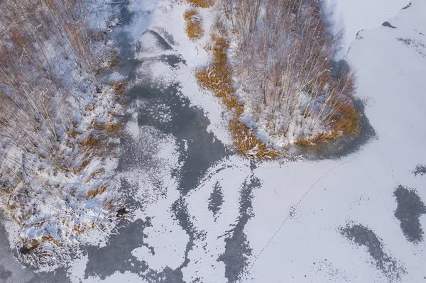 冬の雪に覆われた森とドローンで捉えられた上から凍る湖の空中写真 — ストック写真