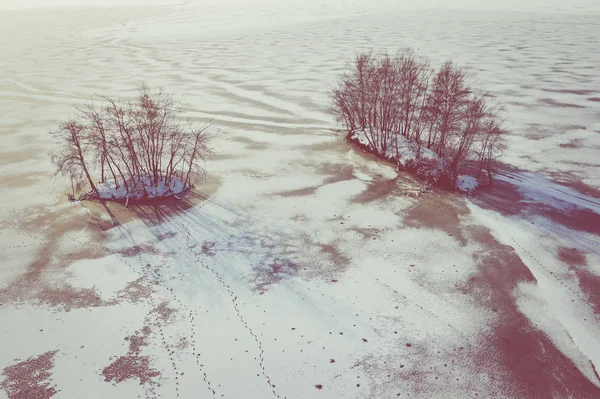 Вид Повітря Зимовий Сніг Покритий Лісом Замерзле Озеро Зверху Захоплене — стокове фото