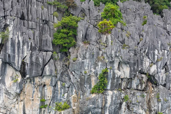 Isole rocciose vicino al villaggio galleggiante nella baia di Halong, Vietnam, Sud — Foto Stock
