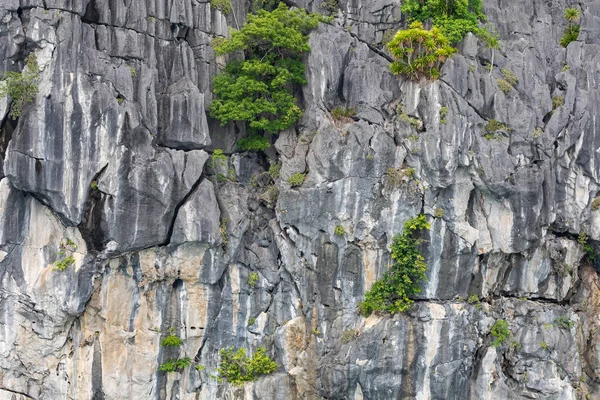 Iles rocheuses près du village flottant dans la baie d'Halong, Vietnam, Sud — Photo