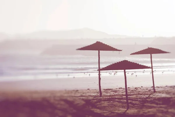 Sonnenschirme am schönen Strand in Marokko. selektiv — Stockfoto