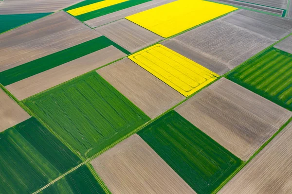 Вид с воздуха на летние поля. Желтые поля сверху. Фото ca — стоковое фото
