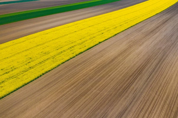 Aerial view of summer fields. Yellow fields from above. Photo ca — Stock Photo, Image