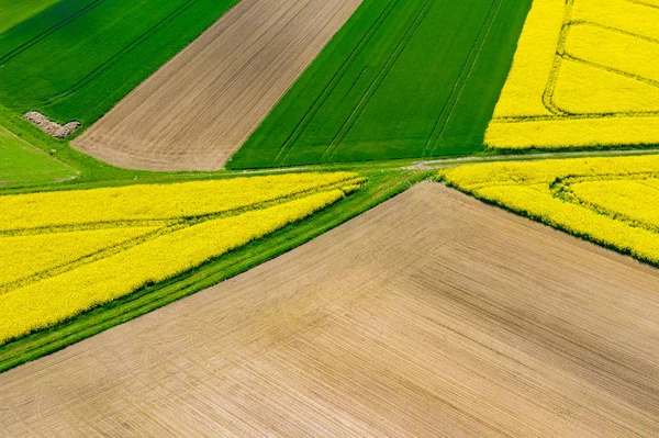 Aerial view of summer fields. Yellow fields from above. Photo ca — Stock Photo, Image