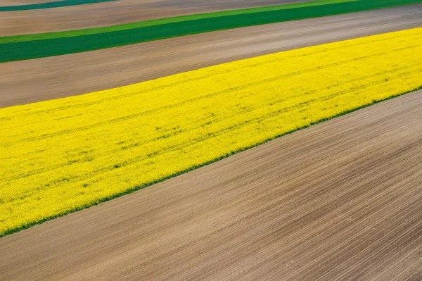 Luchtfoto van de zomer velden. Gele velden van bovenaf. Foto ca — Stockfoto