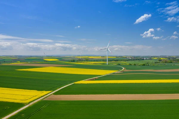 Aerial view of wind turbine. Rapeseed blooming. Windmills and ye — Stock Photo, Image