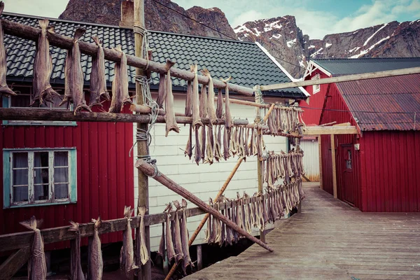 Reine pueblo de pescadores en las islas Lofoten, Nordland. Países Bajos . —  Fotos de Stock