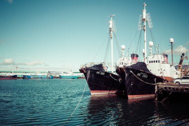 Reykjavik, İzlanda - 09 Haziran 2019: Reykjavik Old Harbor. Motorb
