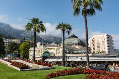 Monte Carlo, Monako - 04 Haziran 2019: Palmiye ağaçları ve berrak gökyüzü