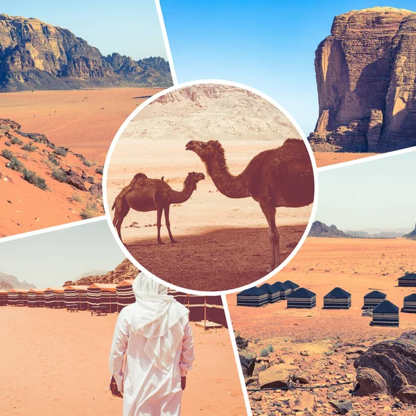 Kolaż pustyni Wadi Rum-Czerwona pustynia (Jordania)-podróż z powrotem — Zdjęcie stockowe
