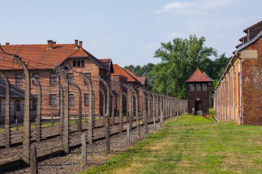 Auschwitz-Birkenau, Polonya - 12 Ağustos 2019: Holokost Anıtı
