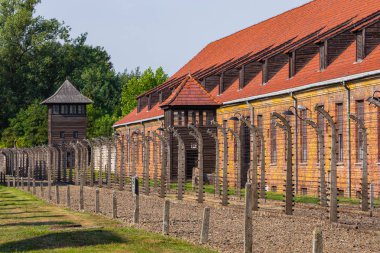 Auschwitz-Birkenau, Polonya - 12 Ağustos 2019: Holokost Anıtı